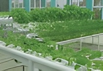 Screenshot 2026-02-18 140754